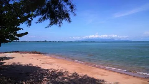 Beach scene with trees, sand, and ocean under blue sky Stock Photos