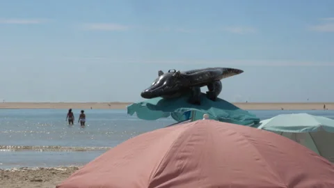 Beach Scene With Umbrellas and Inflatable Crocodile in Shallow Summer Water Stock Footage 340550098