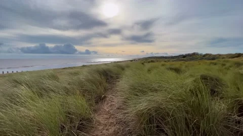 Beach scene with warm sunlight. Green tufts of Marram grass growing in the .. Vidéo 236375498