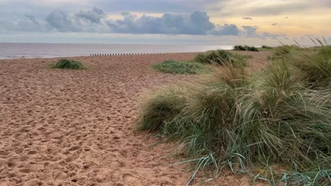 Beach scene with warm sunlight. Green tufts of Marram grass growing in the .. Video stock 236375576