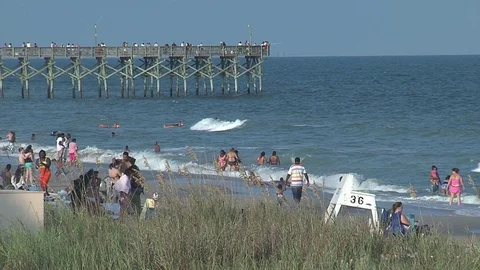 Beach Scene1 库存影片 74925488