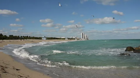 Beach scenery from Miami Stock Footage 44727481