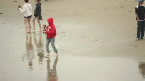 Beach Scenes Stock Footage 11443566