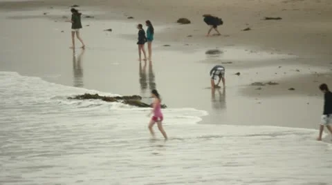 Beach Scenes Stock Footage 11443775