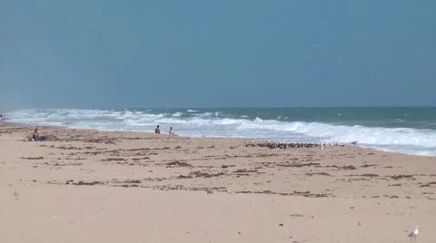 Beach scenic long shot of beach with rough surf and people walking 1 h264 Stock Footage