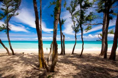 Beach Scenic Stock Photos