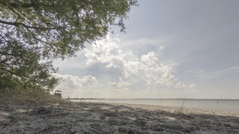 Beach at Schaprode with tree on a sunny summer day with some clouds time-lapse Stock Footage 188440889