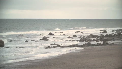 Beach scum 4k  Stock Footage 155490806