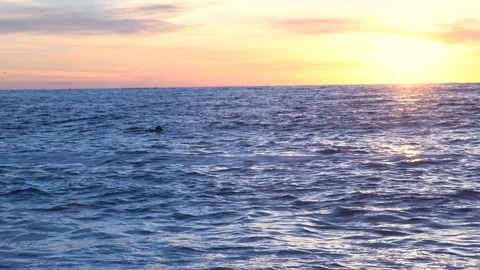 On the beach sea waves at sunset. Stockbeeldmateriaal 122439774