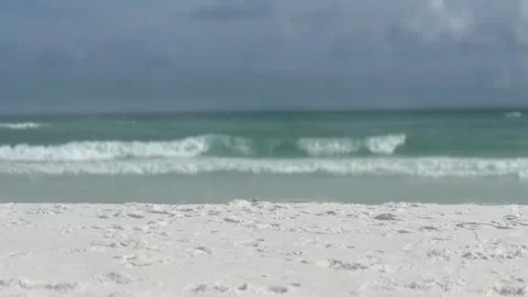 Beach with seagull peeking over sand Video stock 313494341