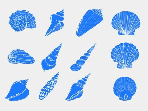 Beach Seashell Set Design with Summer Vibes and Coastal Elements for Tropical an Stock Illustration