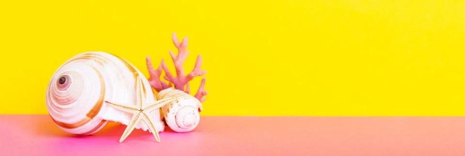 Beach seashells on colored background. Mock up with copy space Stock Photos