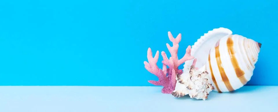 Beach seashells on colored background. Mock up with copy space Stock Photos