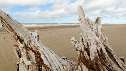 Beach seen through a couple of dry logs. Waves moving gently in the distanc.. Stock Footage 272275839