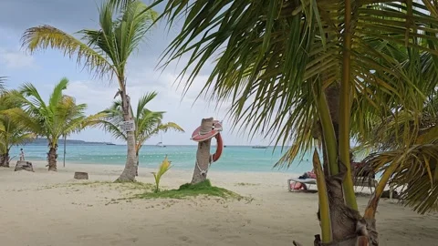 Beach Seen Through Palm Fronds With Rescue Float, Negril, Jamaica 8K Video stock 340367789