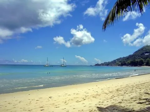 Beach on seychelles 스톡 사진