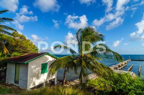 Beach Shack and Sea Stock Photos