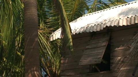 A beach shack Video stock 65509