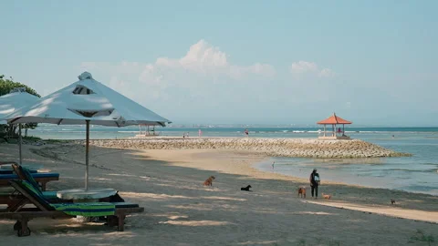 Beach shade beside reef lagoon , Karang Beach, Bali 库存影片 336514790