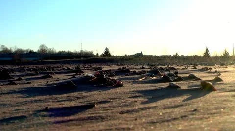 Beach shadows sunset 스톡 동영상 22011666