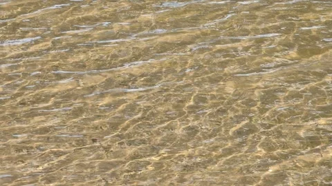 Beach shallow clear water waves texture with river shore yellow sand video Stock Footage 296140613