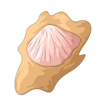 Beach shell illustration Stock Illustration