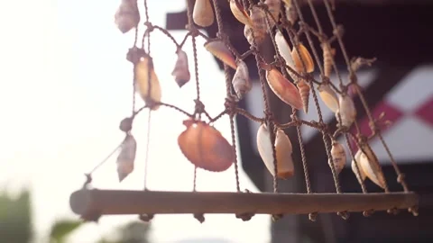 Beach Shells Decoration Stock Footage 233183746