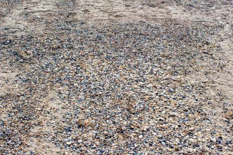 Beach with shells Stock Photos