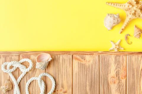 Beach shore with clam shell concept. Stock Photos