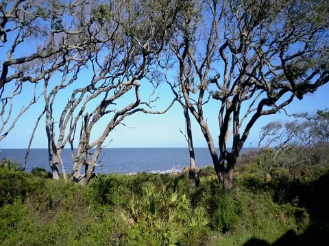 The Beach Shore Stock Footage 76545458