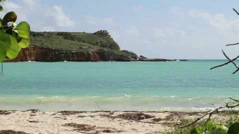 Beach Shore Stock Footage 231539512