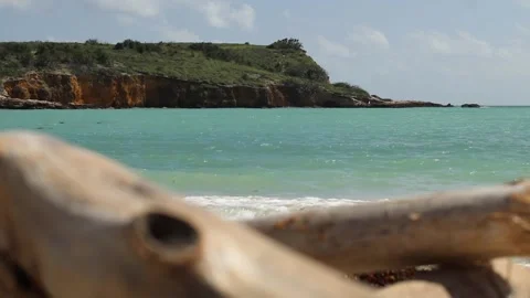 Beach Shore Video stock 231539534