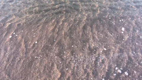 Beach shore Stock Footage 260951047