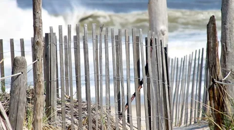 Beach Shore HD Stock Footage 41266380