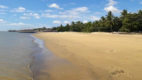 Beach shore seaside with waves and palm trees Stock Footage 112083218