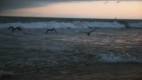 Beach shore before sunset, seagulls waves and sandy beach, manual camera Stock Footage 169391374