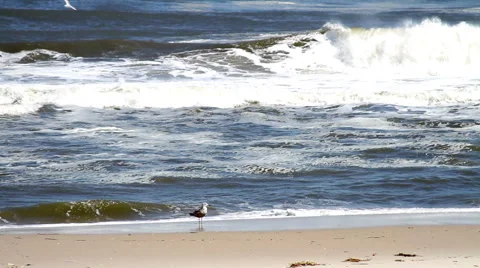 Beach Shore Surf HD Video stock 41268954