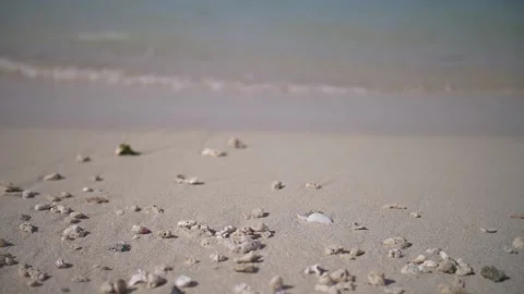 Beach Shore Tide Coming In Medium Shot Stock-Footage 139585091