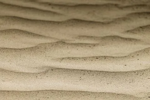 Beach shoreline featuring a rippled pattern in the sand 写真素材