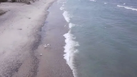 Beach shoreline Stock Footage 152856540