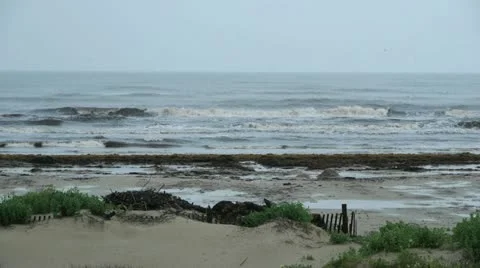 Beach Shot Stock-Footage 11019878