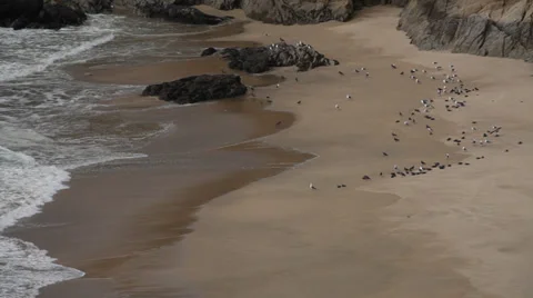 Beach Shot Stock Footage 32715832