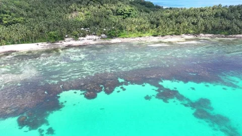 Beach (Siargao - Philippines) Stock Footage 278230517