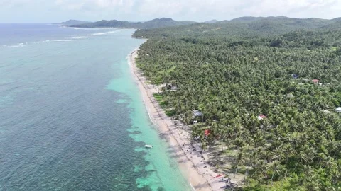 Beach (Siargao - Philippines) Stock Footage 278233822