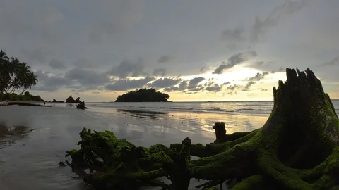 Beach side on an evening Stock Footage 118581089