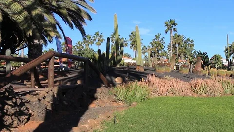 A beach side garden Stock Footage 85893935