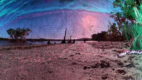 Beach side mindfulness Stock Footage 316521763