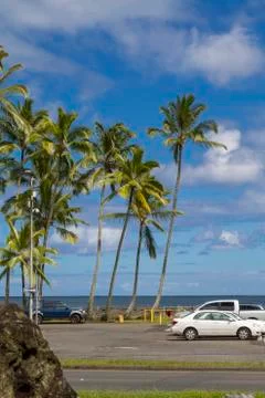 Beach Side Parking 库存照片