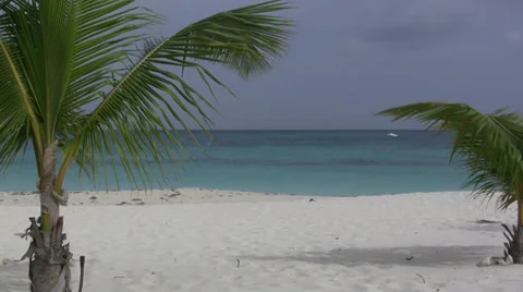 Beach Side Resort 動画素材 38908769