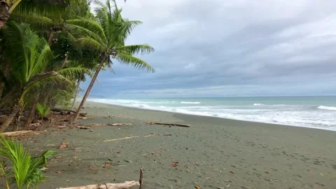 Beach Side right to left Stock Footage 166803763